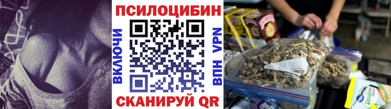 Купить  Устюжна  Галлюциногенные грибы Magic Shrooms 