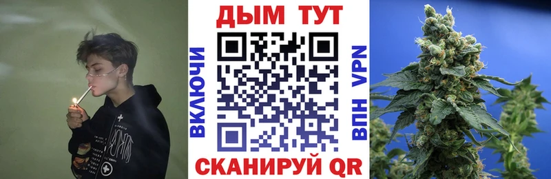 Купить  Устюжна  Канабис гибрид 