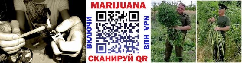 Бошки Шишки сатива Устюжна